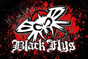 Black Flys